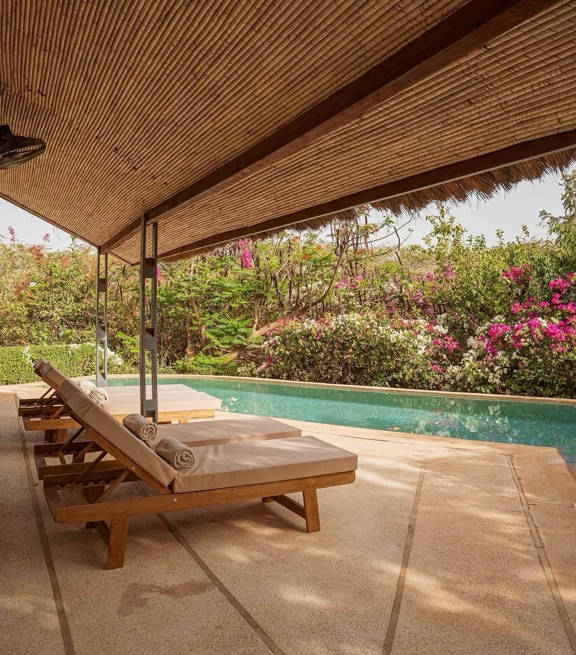 Transats sous un auvent en canisse au bord de la piscine, bougainvilliers en fleurs