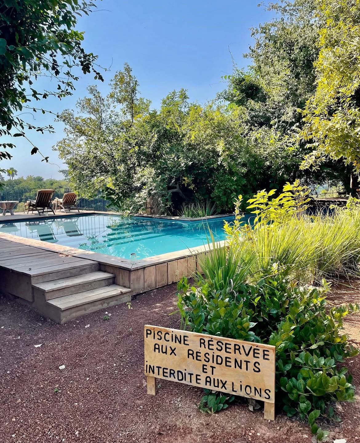 Piscine surélevée avec escalier en bois et panneau « Piscine réservée aux résidents et interdite aux lions »